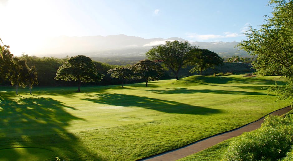 golf course